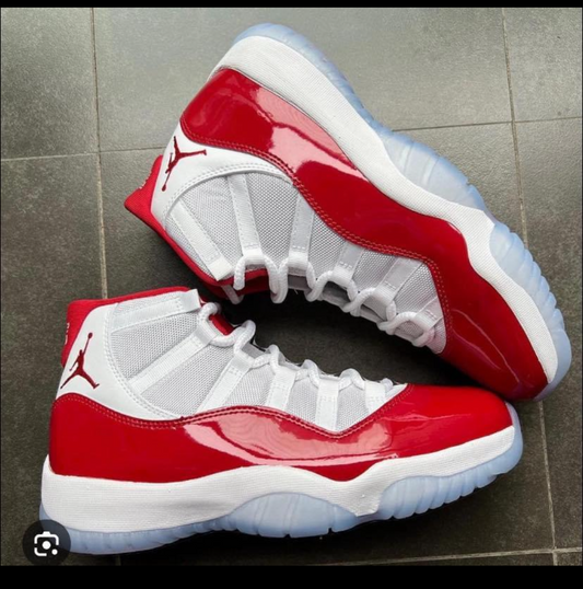 Air Jordan 11s