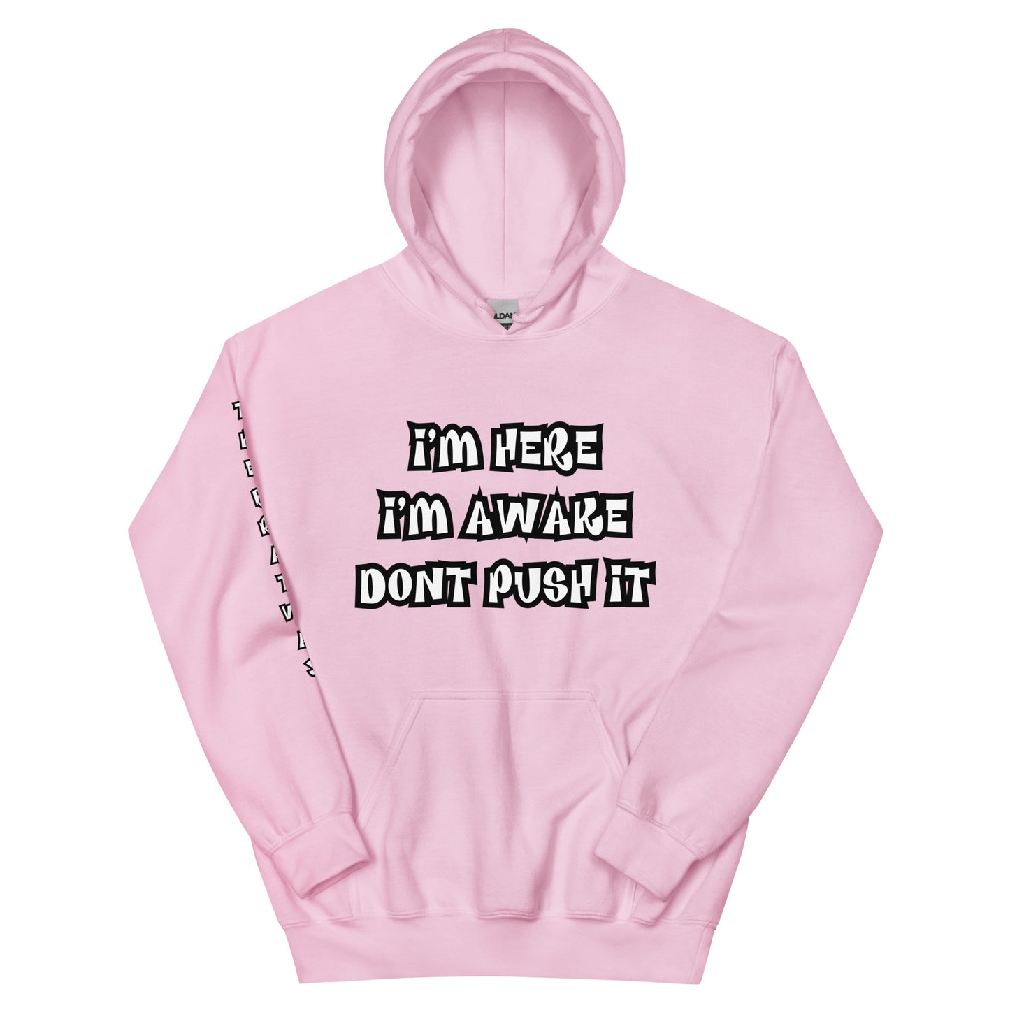 Not In The Mood Hoodie