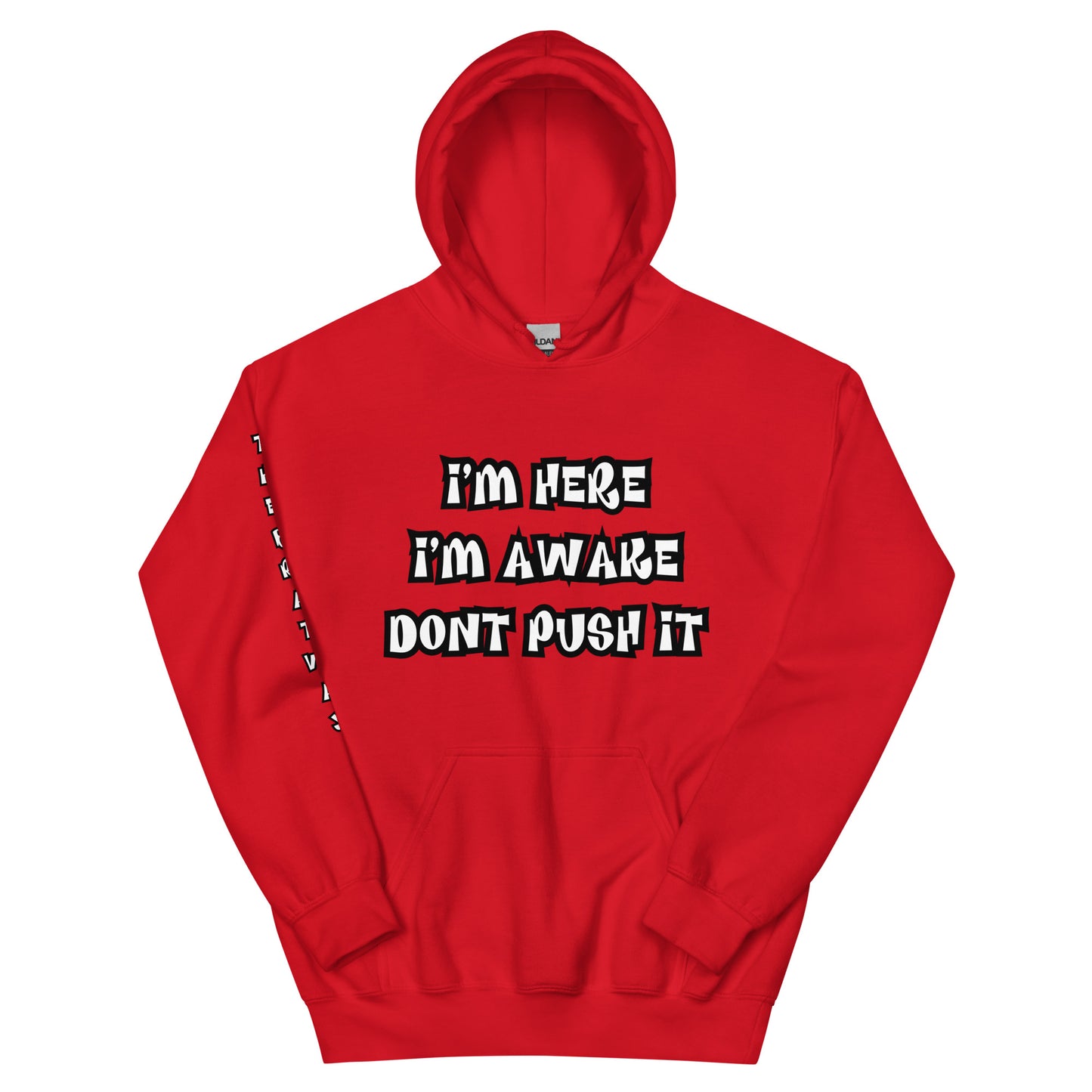 Not In The Mood Hoodie